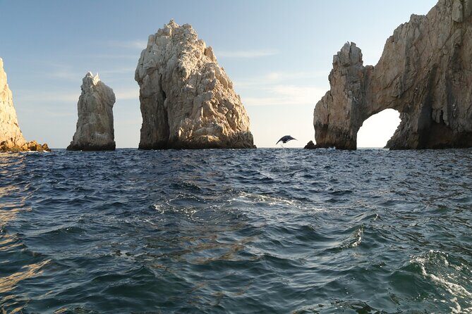 Private Tour to the Arch of Cabo San Lucas by Glass Bottom Boat - Who should book this private Arch boat tour?