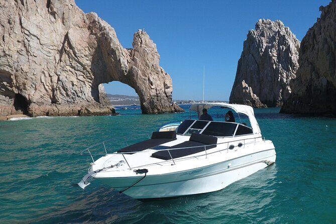 Private Whale Watching on Luxury Yacht in Cabo San Lucas - Meeting at Local A Tesoro Hotel: show up ready for an 8:00 am start