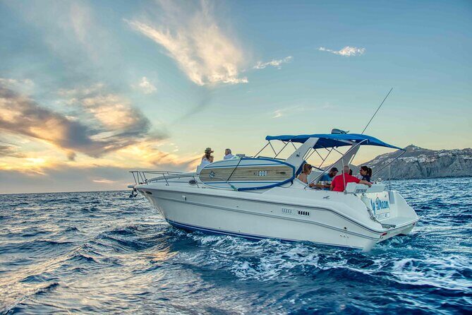 Private Whale Watching on Luxury Yacht in Cabo San Lucas - The whale hunt for humpback whales: what the crew focus means for you