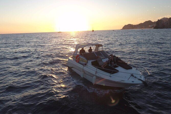 Private Whale Watching on Luxury Yacht in Cabo San Lucas - Marine biologist guide on board: learning the “why,” not just the “what”