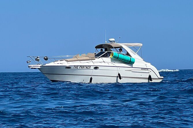 Private yacht rental for 2 hours - Snorkeling Gear and Paddle Board: How You Make the Most of Two Hours