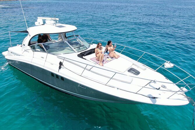 Private Yacht Sea Ray all-inclusive charter in Cabo - Pacific Coast for whale season: what to watch for
