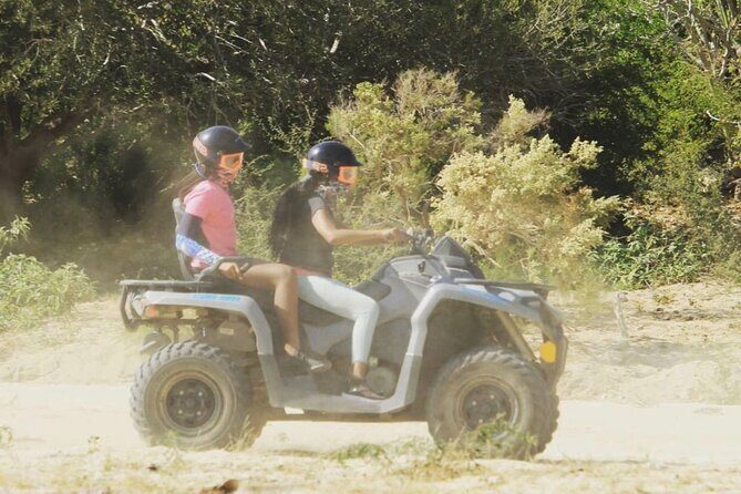 Ride through Bajas wild beauty—from desert trails to ocean views. - Baja California Sur Views: Desert Cacti, Sea-of-Cortez-to-Pacific Energy