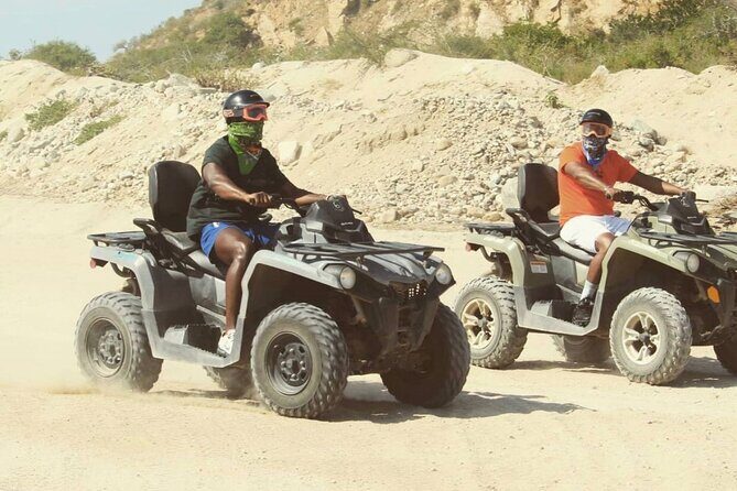 Ride through Bajas wild beauty—from desert trails to ocean views. - Wildlife Moments You Might Actually See
