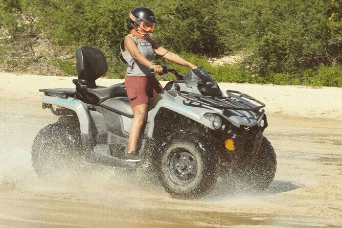 Ride through Bajas wild beauty—from desert trails to ocean views. - Price and Value: Does $76.50 Add Up?