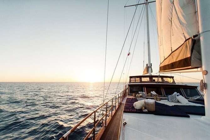 Romantic Sailboat Sunset: Live Music, Premium Bar & Dinner -Cabos - Dessert course: Mexican-style jam with berries and mango