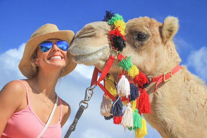 Safari with Camel Caravan to Explore Baja’s Nature, Culture and Cuisine - Key Highlights You’ll Care About