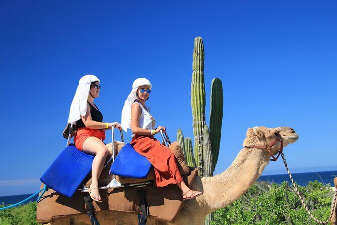 Safari with Camel Caravan to Explore Baja’s Nature, Culture and Cuisine - Baja Camel Caravan: What You’re Actually Signing Up For