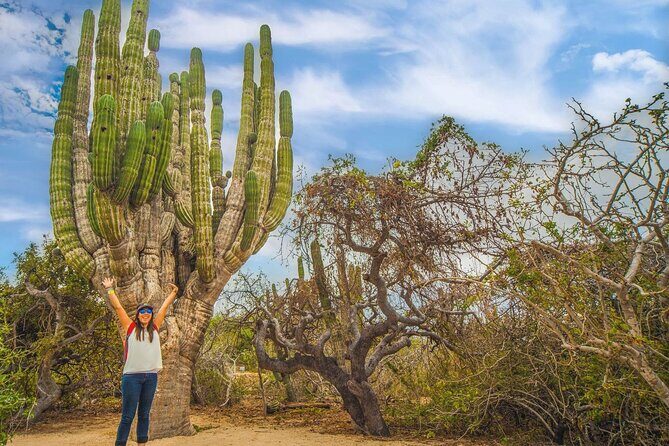 Safari with Camel Caravan to Explore Baja’s Nature, Culture and Cuisine - The Camel Caravan on Baja’s Seaside: 20 Minutes That Matter