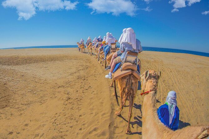 Safari with Camel Caravan to Explore Baja’s Nature, Culture and Cuisine - Time, Group Size, and Pace: Why 3 Hours Works