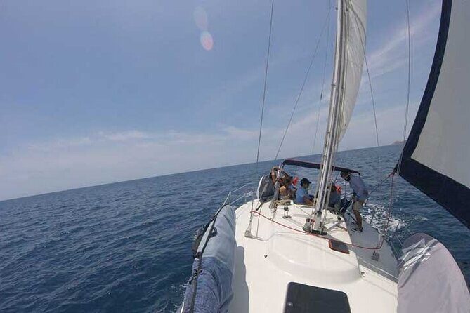 Sailing Snorkel Adventure - Quick hits before you go