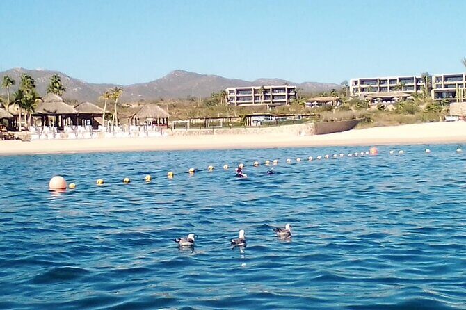 Santa Maria and Chileno Bay Snorkel Adventure Los Cabos - Chileno Bay Snorkeling: Sand Gullies, Walls, and Fish Close Up