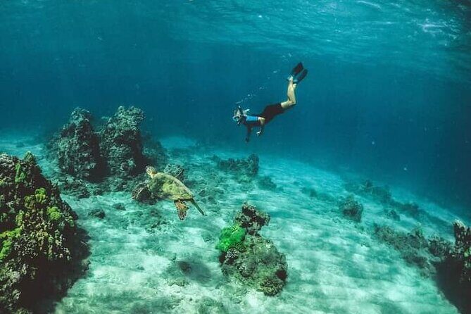 Santa Maria and Chileno Bay Snorkel Adventure Los Cabos - Who This Tour Fits Best (And Who Should Ask Questions)