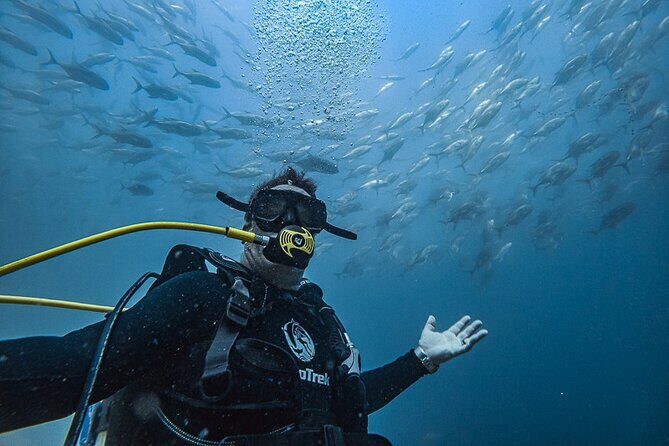 Scuba Diving - Getting Oriented: Check-In, Boat Time, and the Marine Park Start