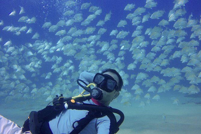 Scuba Diving - Price and Value: Is $149 a Good Deal for Two Underwater Segments?