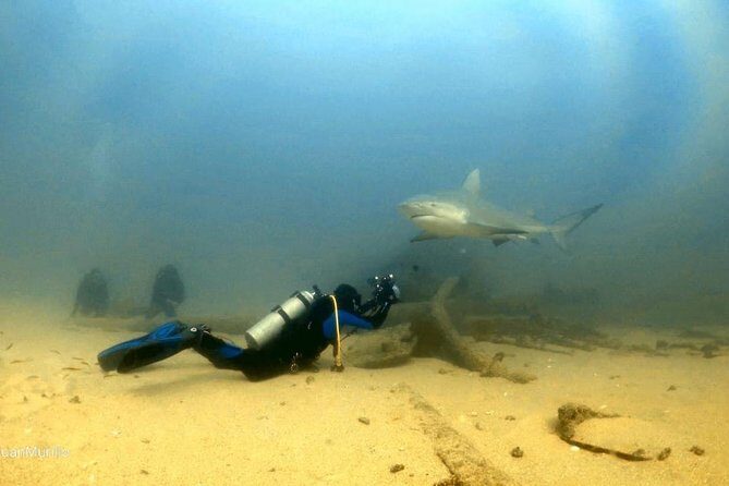Scuba Diving adventure Cabo pulmo - Cabo Pulmo time on site: what the main stop delivers