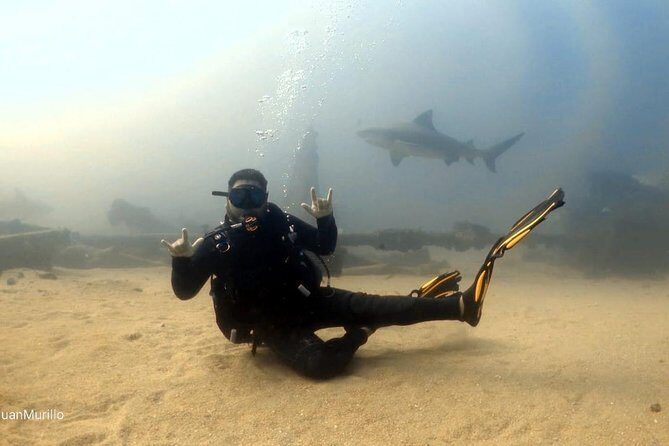 Scuba Diving adventure Cabo pulmo - Food and comfort: lunch, snacks, and bottled water add real value