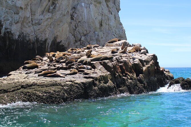 Shared Tour to the Arch of Cabo San Lucas - Lover’s Beach: The Optional Swim Stop That Depends on the Day