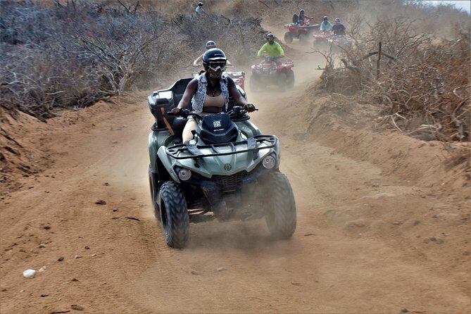 Single ATV Tour from Migriño Beach & Desert - Whale Watching During Season: What to Expect at the Stops