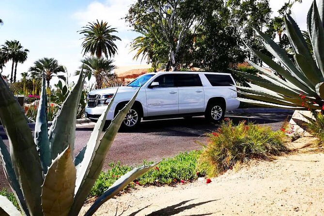 SJD Airport to Cabo San Lucas - One way service - Service Style in Real Life: Upgrades, Friendly Drivers, and Clean Cars