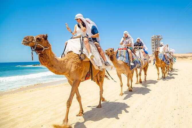 Sky Bike Free Camel Ride and Horseback Riding - Logistics that actually matter: pickup, timing, group size, and comfort