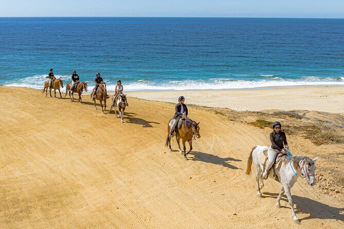 Sky Bike Free Camel Ride and Horseback Riding - Who this tour fits best (and who should choose something else)
