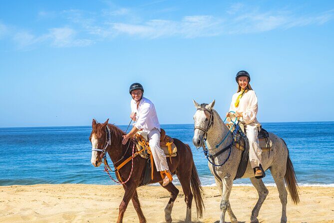 Sky Bike Free Camel Ride and Horseback Riding - Should you book Sky Bike Free Camel Ride and Horseback Riding?