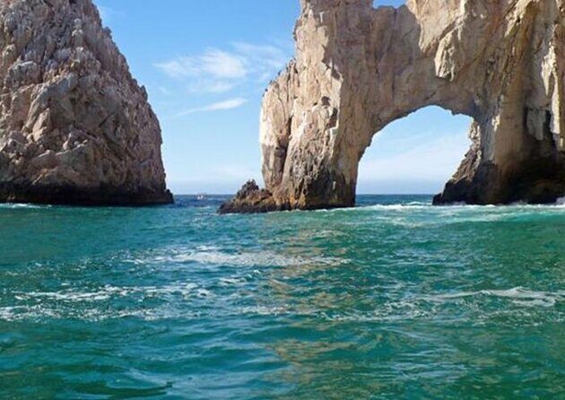 SMALL GROUP Whale Watch | Cabo San Lucas | Biologist | FREE Pics - The best parts of this whale watch