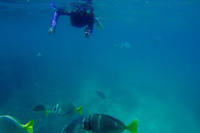 Snorkel Adventure and Hike to a Hidden Beach - Practical tips before you go (so the day stays fun)