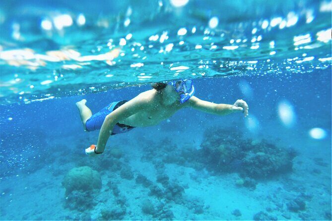 Snorkel Adventure through the Sea of Cortez - Itinerary: how the Sea of Cortez portion plays out