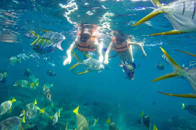 Snorkel and arch tour in los cabos - Marina start: getting oriented fast at the Cabo San Lucas dock
