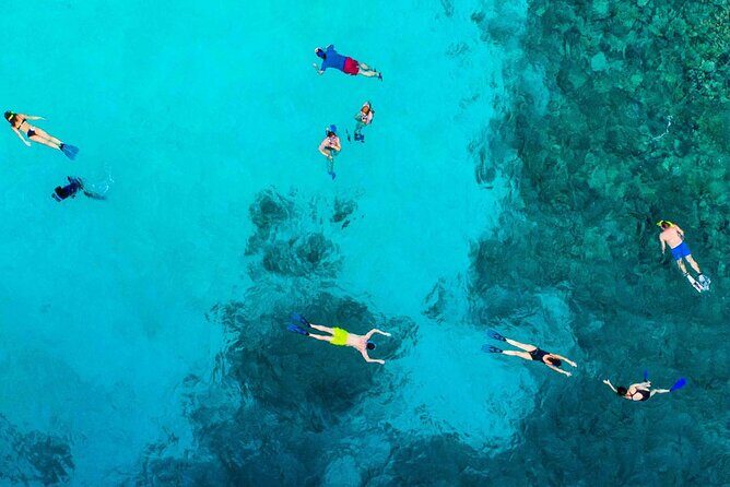 Snorkel and arch tour in los cabos - Price and value: how $71.69 makes sense for what you get