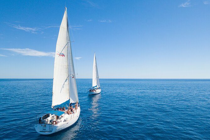 Snorkel in Luxury Sailing Boat + Food and Premium drink! - Snorkeling Time on a Controlled Setup: What to Expect