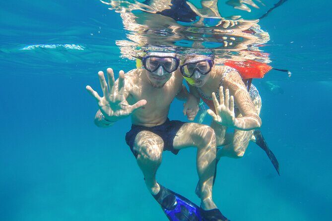 Snorkel in Luxury Sailing Boat + Food and Premium drink! - Price and Logistics: Is $200 Worth It