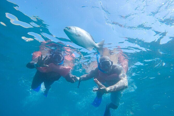 Snorkel in Luxury Sailing Boat + Food and Premium drink! - Best Ways to Prep for the Day Without Overthinking It