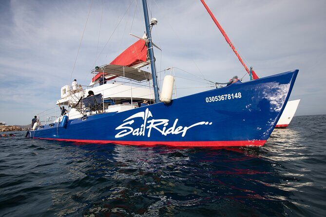 Snorkel, Lunch & Sail in Cabo San Lucas - Solar catamaran cruise: why this style of Cabo day works