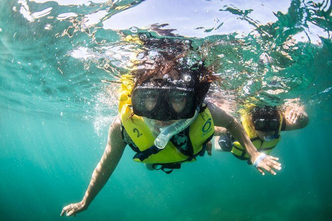 Snorkel, Lunch & Sail in Cabo San Lucas - Who should book this Cabo snorkel-and-sail, and who should rethink it