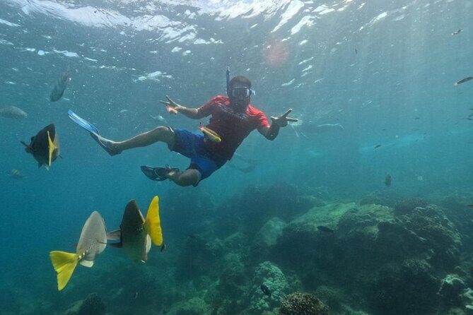 Snorkel Tour in private Trimarán in Los Cabos - Private Trimarán Snorkel: what you’re really buying
