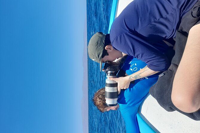 Snorkel with whale sharks includes equipment & transportation - Cabo San Lucas Beach stop: the Arch and the bay in a short window