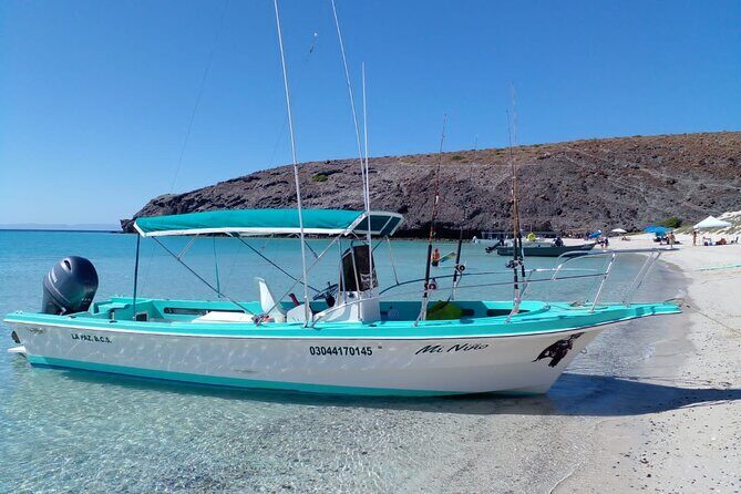 Snorkel with whale sharks includes equipment & transportation - La Paz: the longest stretch for whale sharks (and the bay views)