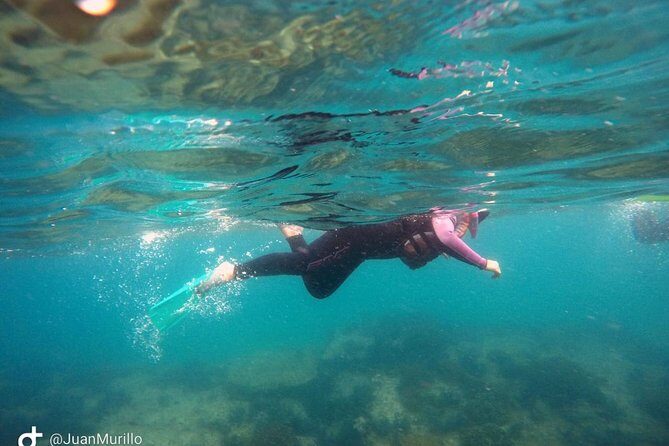 Snorkeling Adventure Cabo Pulmo - Cabo Pulmo Reef: Why This Snorkeling Spot Feels Different