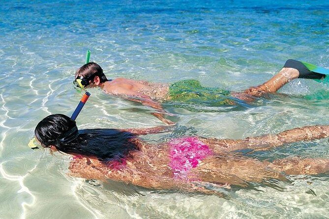 Snorkeling Discovery sailing in Los Cabos - Key points to know before you go