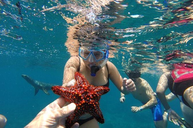 Snorkeling Discovery sailing in Los Cabos - Price and value: what $99 gets you (and what it doesn’t)