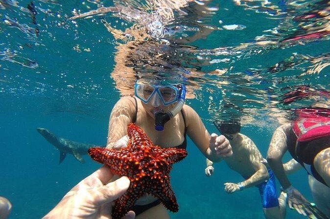 Snorkeling Discovery sailing in Los Cabos - Buffet lunch and open bar: what to expect on board