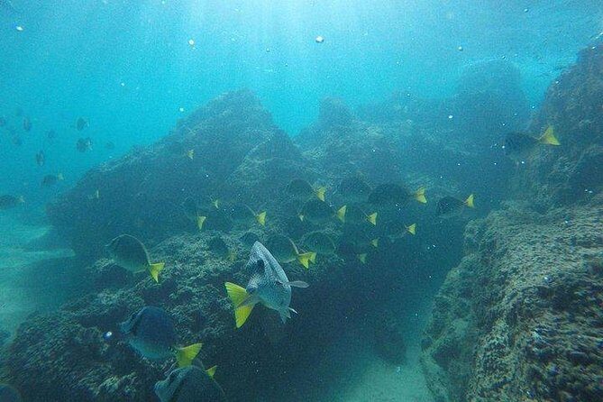 Snorkeling in Cabo San Lucas on 35' Sea Amore Trimaran - El Arco Stop 2: Seeing Cabo’s Landmark Without the Land-Chaos