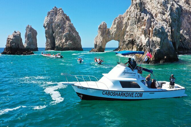 Snorkeling or Swimming with Sharks in Cabo San Lucas - Boat conditions and motion sickness: my blunt prep advice