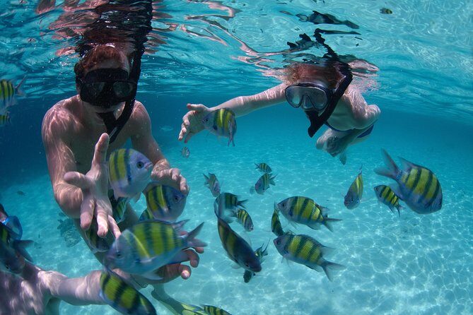 Snorkeling Tour at Land's End in Cabo San Lucas - Meeting spot and boat timing: the part that can make or break the experience