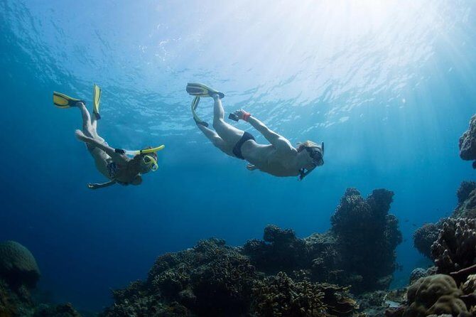 Snorkeling Tour at Land's End in Cabo San Lucas - Land’s End on your own: the value of free time after the swim