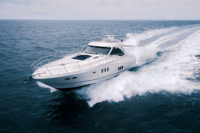 Steel Aweigh 65ft Sea Ray Yacht Rental - On the water: whales, snorkeling, and paddleboards (when conditions allow)