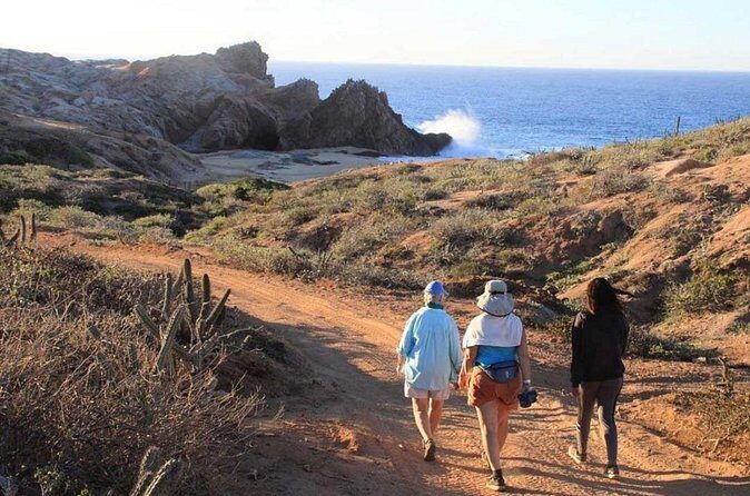 Sunrise Guided Desert Hike in Los Cabos - Hidden Arch by the Beach: Why High Tide Makes It More Fun